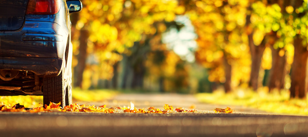 5 Maintenance Items to Take Care Of This Fall